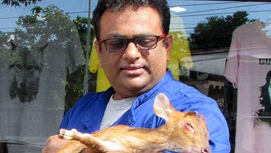 රාජ්‍ය ඇමති ගේ”බලු කතාව” බොරුවක්!