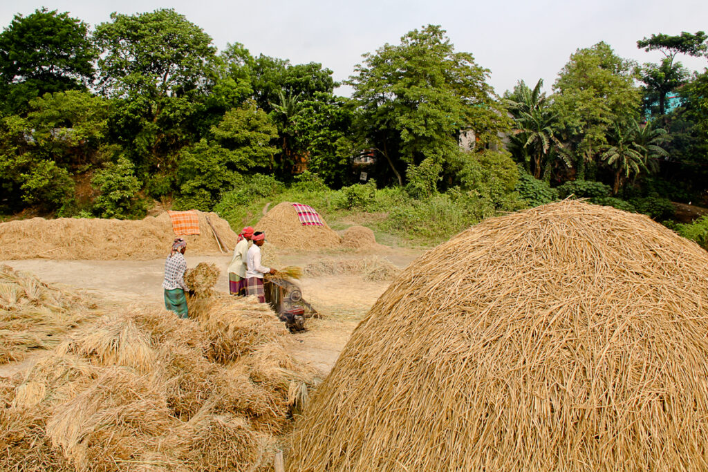ගොවීන් වී අස්වනු වී අලෙවි මණ්ඩලයට නොදී වැඩි මිලට පිටට විකුණති.
