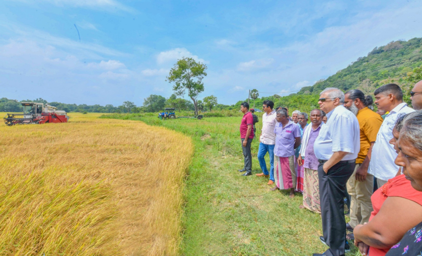 තරුණයන් ස්මාර්ට් ඇග්‍රිකල්චර් වෙත යොමු කළ යුතුයි