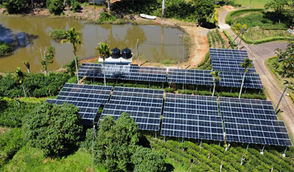 පළමු වරට ‘සූර්ය පැනල’ කෘෂි ව්‍යාපෘතියක් හන්තානේ