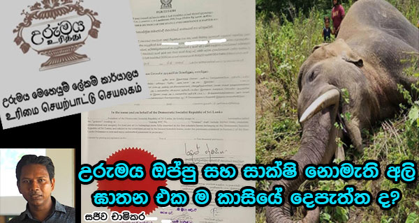 උරුමය ඔප්පු සහ සාක්ෂි නොමැති අලි ඝාතන එක ම කාසියේ දෙපැත්ත ද? – සජීව චාමිකර 