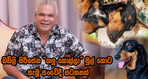 ඩඩ්ලි සිරිසේන “කලු කොල්ලා” මුල් කොට තැබූ සංවේදී සටහනක්