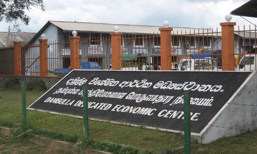 දඹුල්ලේ එළවළු මිල ගණන් පහළට