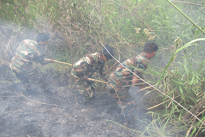 පරිසර හානි දන්වන්න කෙටි දුරකථන අංක