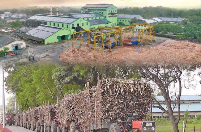 හිඟුරාන සීනි කර්මාන්ත ශාලාව මෙරට සීනි ඉතිහාසය වෙනස් කරයි