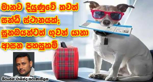 මානව දියුණුවේ තවත් සන්ධි ස්ථානයක්;සුනඛයන්ටත් ගුවන් යානා ආසන පහසුකම්