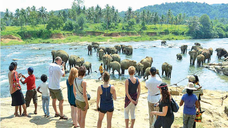 සංචාරක කර්මාන්තය දියුණු කරන්න නව පිම්මක්