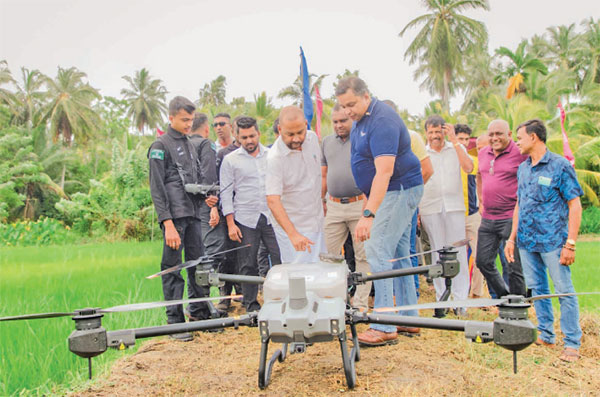 යල කන්නයේ වී වගාවේ පළිබෝධ නාශක ඉසීම ඩ්‍රෝන තාක්ෂණයෙන්