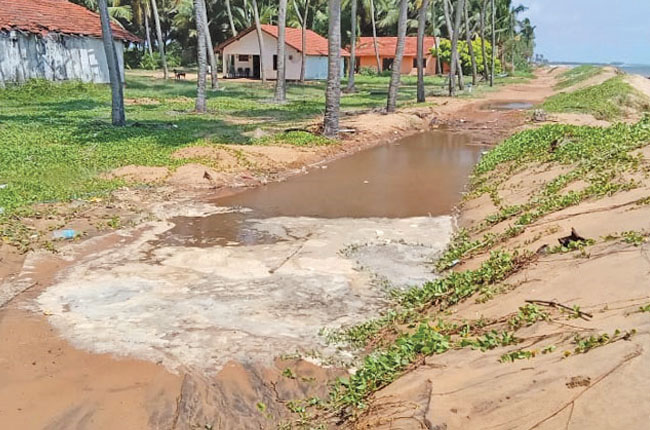 මුහුදු ඛාදනයෙන් හලාවත මුතුපන්තිය දූපතේ වෙරළට දැඩි හානි