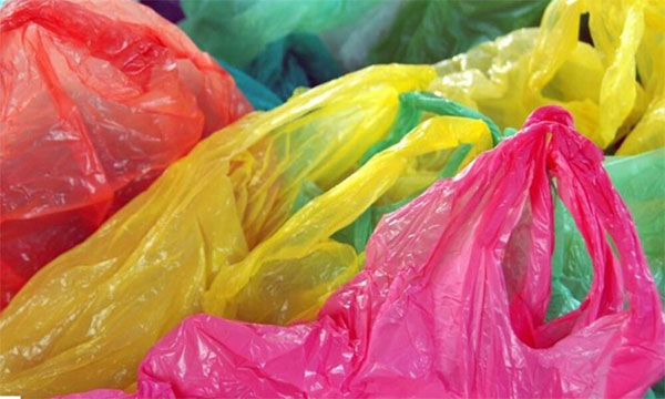 ෂොපිං බෑග් සඳහා පාලන මිලක්