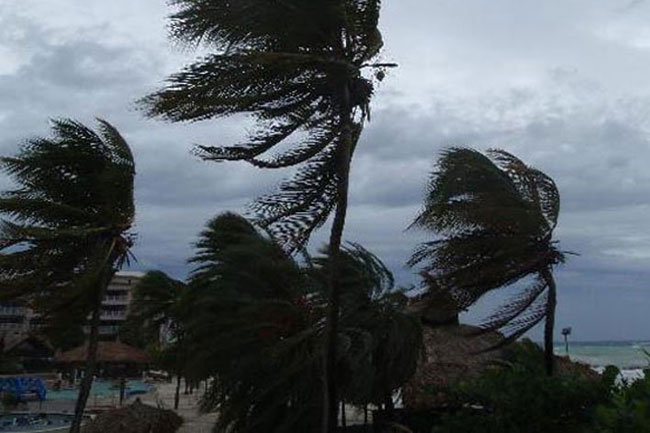 ප්‍රදේශ රැසකට තද සුළං