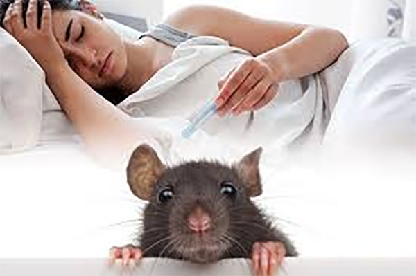 මාස 6 තුළ පමණක් මී උණ රෝගීන් 5,000ක්