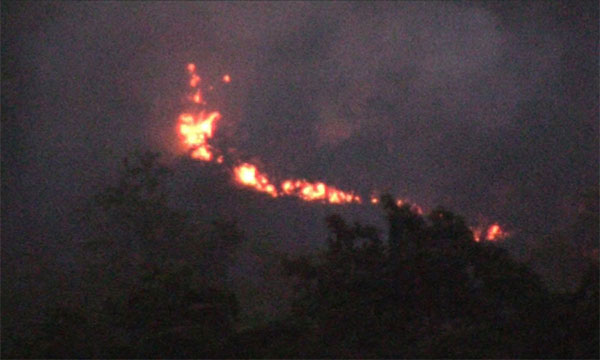 පුනාගල කදු රක්ෂිතයේ ගින්නක්