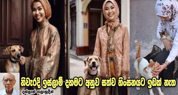 නිවැරදි ඉස්ලාම් දහමට අනුව සත්ව හිංසනයට ඉඩක් නැත