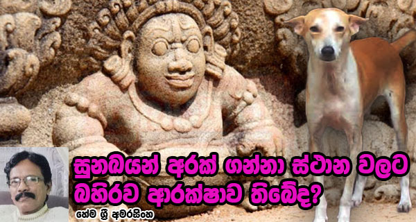 සුනඛයන් අරක් ගන්නා ස්ථාන වලට බහිරව ආරක්ෂාව තිබේද?- හේම ශ්‍රී අමරසිංහ