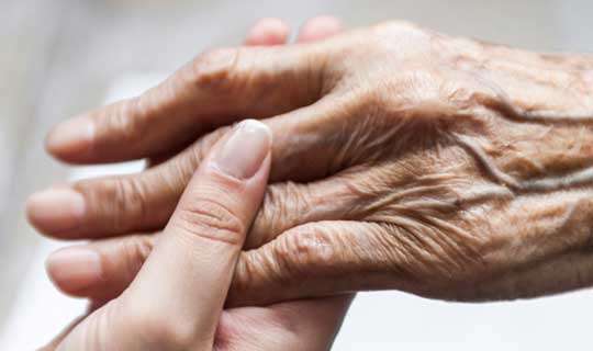 වැඩිහිටියන් වෙනුවෙන් රජයෙන් විශේෂ වැඩපිළිවෙළක්