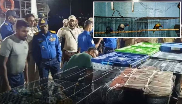 නීති විරෝධී ලෙස මුහුදු මාර්ගයෙන් සතුන් ප්‍රවාහනය කළ සැකකරුවන් 05 දෙනෙකු අත්අඩංගුවට