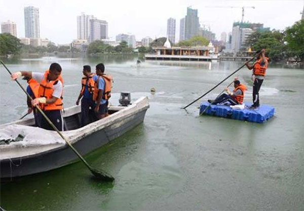 බේරේ වැව කුරුලු දූපත වසර 50කට බදු දීමට අනුමැතිය