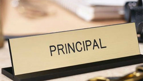 වෘත්තීයවේදී විදුහල්පතිවරුන්ගේ සංගමය වෘත්තීය ක්‍රියාමාර්ගයක