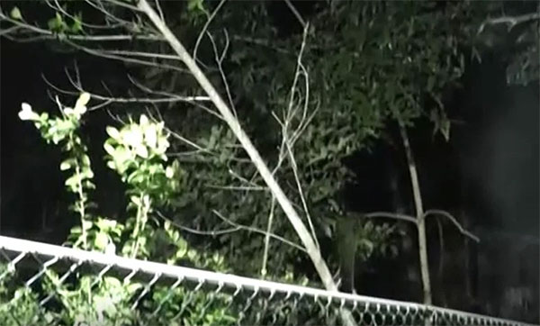 ඇසළ පෙරහැර මංගල්‍යයේ කප කැපීම සිදු කෙරේ