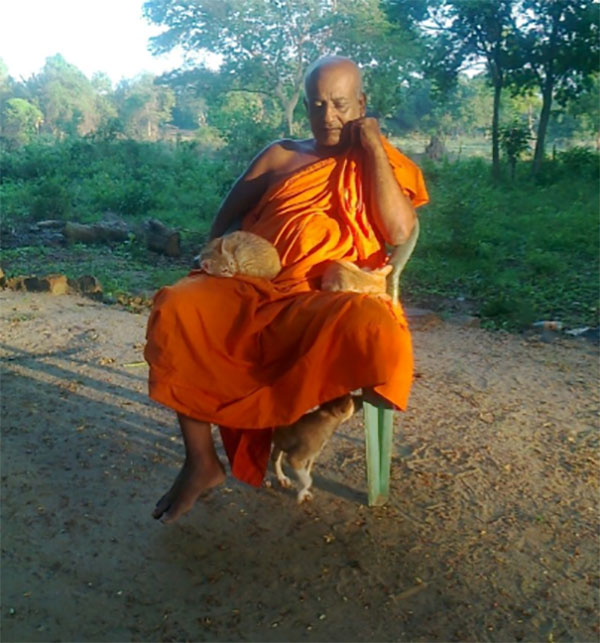 සිතුම් සිත්තම් 2024.08.11