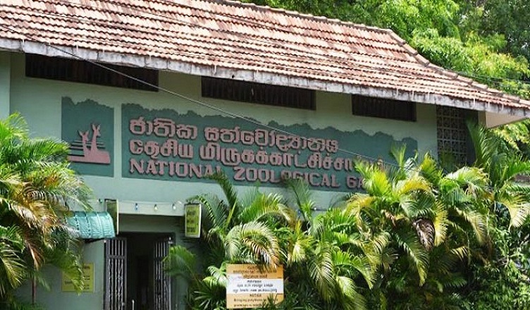 ලෝක ළමා දිනයට සත්වෝද්‍යානවලින් ළමුන්ට තෑග්ගක්
