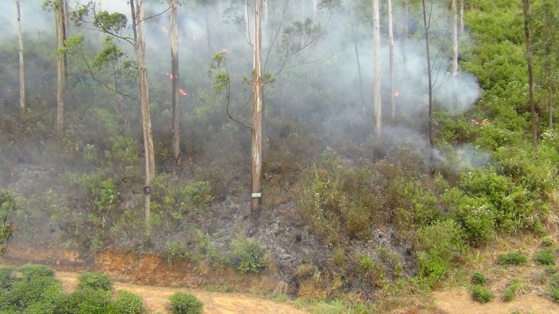 ඇල්ලේ රක්ෂිතයක ගින්නක්