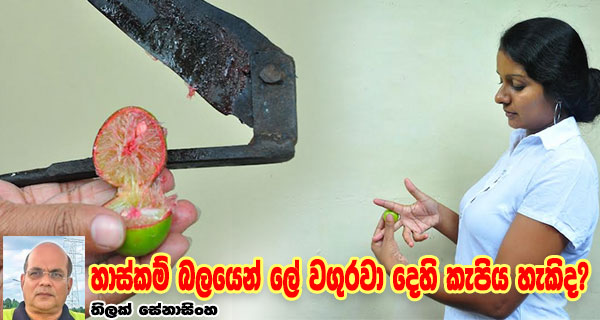 හාස්කම් බලයෙන් ලේ වගුරවා දෙහි කැපිය හැකිද?
