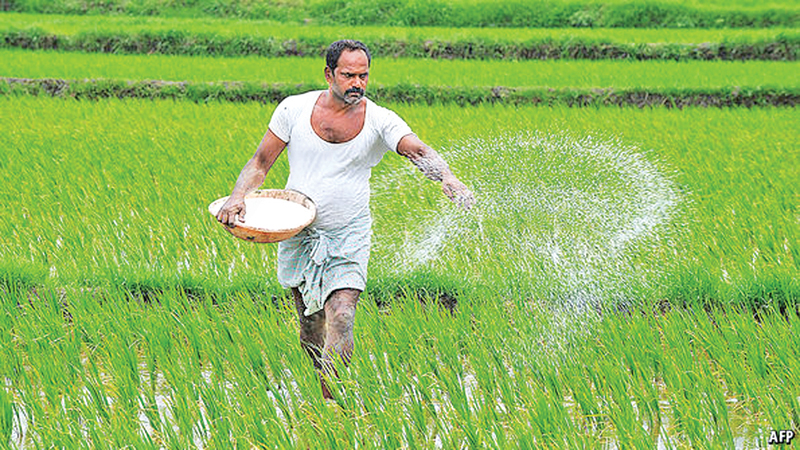 යල කන්නයේ පොහොර සහනාධාර අද සිට ගොවීන්ට