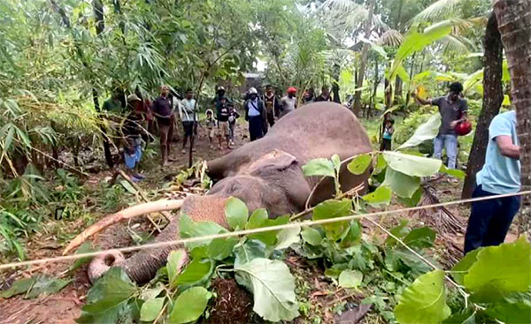දීඝ දන්තු  1 ඝාතන සැකකාර රක්ෂණ කලමණාකරු රිමාන්ඩ්