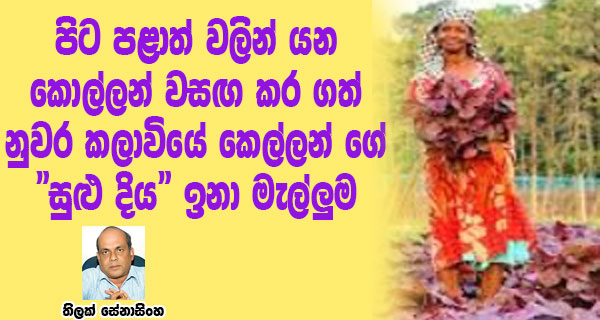 පිට පළාත් වලින් යන කොල්ලන් වසඟ කර ගත් නුවර කලාවියේ කෙල්ලන් ගේ “සුළු දිය” ඉනා මැල්ලුම