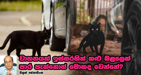 වාහනයක් ඉස්සරහින් කළු බළලෙක් පාර පැන්නොත් මොකද වෙන්නේ?