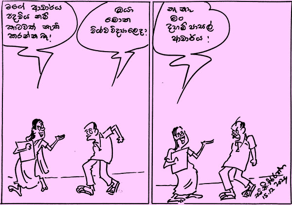 කාටූන් 2024.12.15