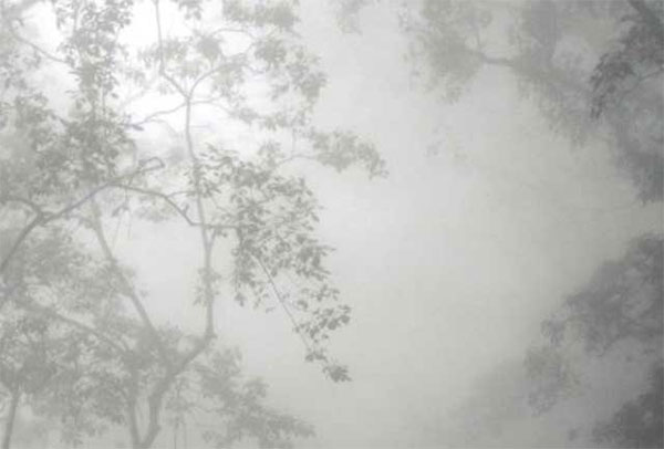 සමහර ස්ථානවල උදෑසන කාලයේදී මීදුම් සහිත තත්ත්වයක්