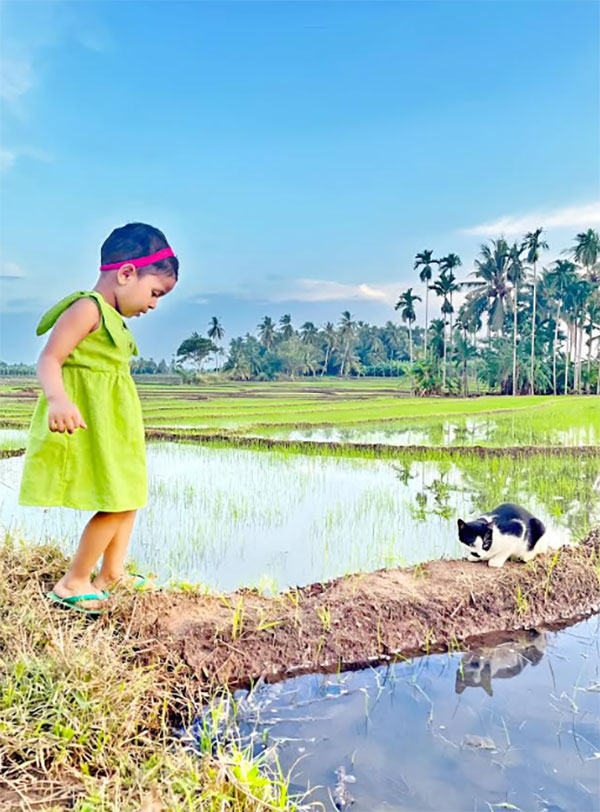 සිතුම් සිත්තම් 2024.12.02