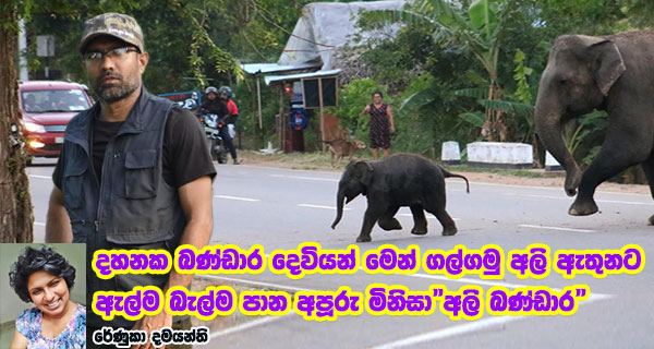 දහනක බණ්ඩාර දෙවියන් මෙන් ගල්ගමු අලි ඇතුනට ඇල්ම බැල්ම පාන අපූරු මිනිසා”අලි බණ්ඩාර”