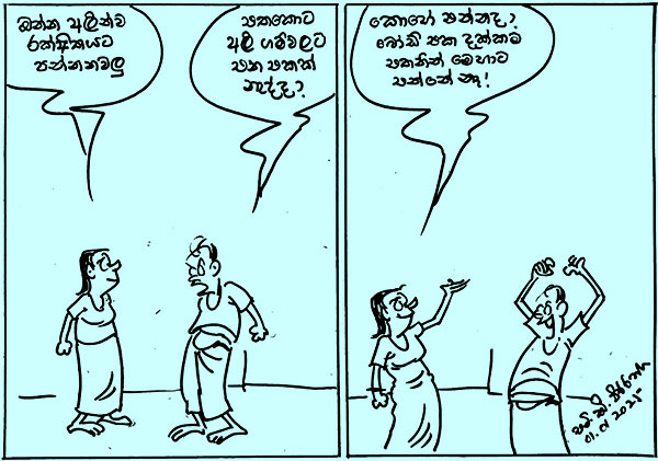 කාටූන් 2025.01.01