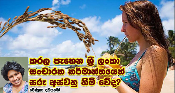 කරල පැහෙන ශ්‍රී ලංකා සංචාරක කර්මාන්තයෙන් සරු අස්වනු හිමි වේ ද?