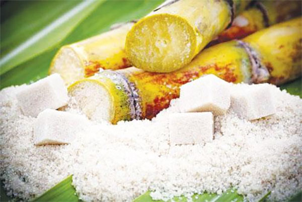 කාබනික සීනි නිෂ්පාදනය කිරීමේ සැලසුමක්