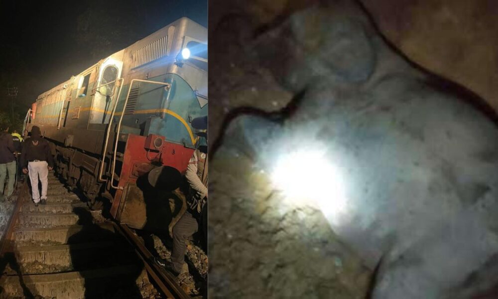 මීනගයා දුම් රියේ ගැටුණු වන අලි හයක් මිය යති;දෙදෙනකුට තුවාල