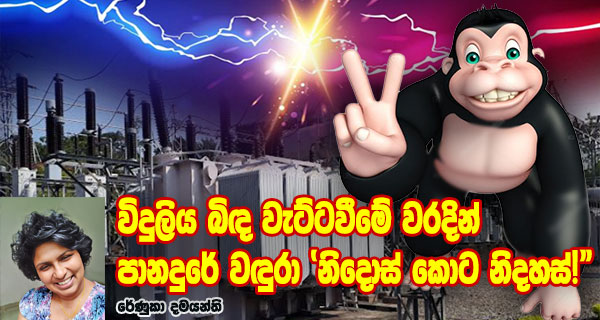 විදුලිය බිඳ වැට්ටවීමේ වරදින් පානදුරේ වඳුරා ‘නිදොස් කොට නිදහස්!”