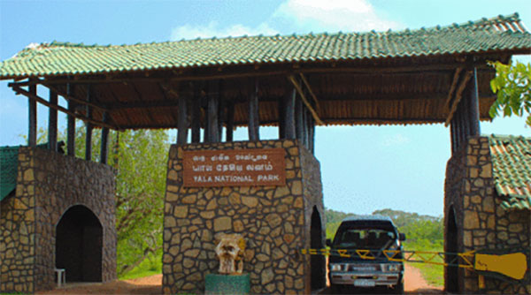 යාල වනෝද්‍යානයේ මාර්ග කිහිපයක් අද සිට විවෘතයි