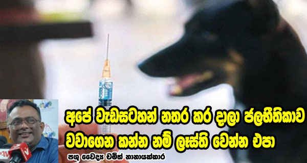 අපේ වැඩසටහන් නතර කර දාලා ජලභීතිකාව වවාගෙන කන්න නම් ලෑස්ති වෙන්න එපා – පශු වෛද්‍ය චමිත් නානායක්කාර