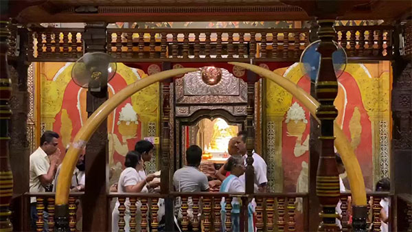 සිරි දළදා වන්දනාව වෙනුවෙන් මහනුවර නගරයේ අද සිට විශේෂ රථවාහන සැලැස්මක්