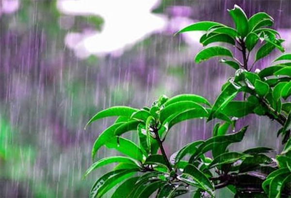 අද ප්‍රදේශ කිහිපයකට විටින් විට වැසි
