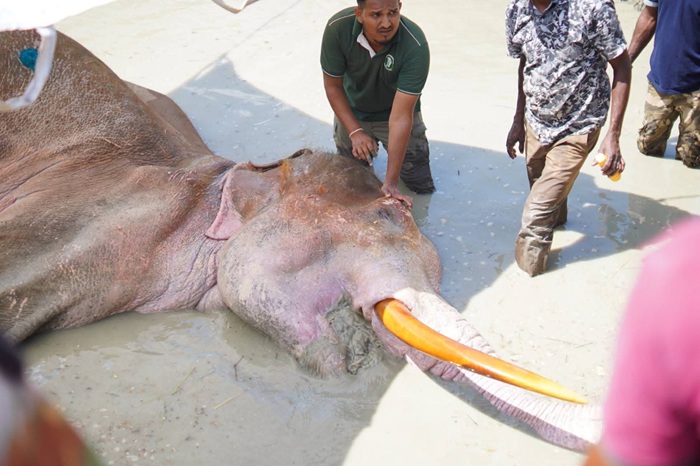 භාතිය අවසන් ගමන් යයි