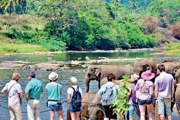 ජූලි මාසයේදී සංචාරකයින්ගෙන් ඩොලර් මිලියන 318ක ආදායමක්