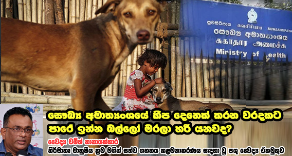 vinivida dog balu case road dog bull dog roswel