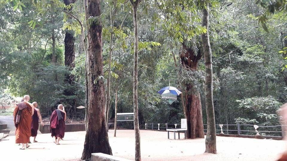 ආරණ්‍ය සේනාසන අනතුරින් අපවත් වූ මෙරට හිමි වරුන් ගේ ආදාහන පූජෝත්සව හෙට