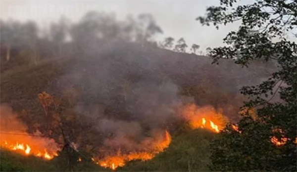 නන්පේරියල් රක්ෂිතයේ ගින්න නිවීමට යුධ හමුදා සහය